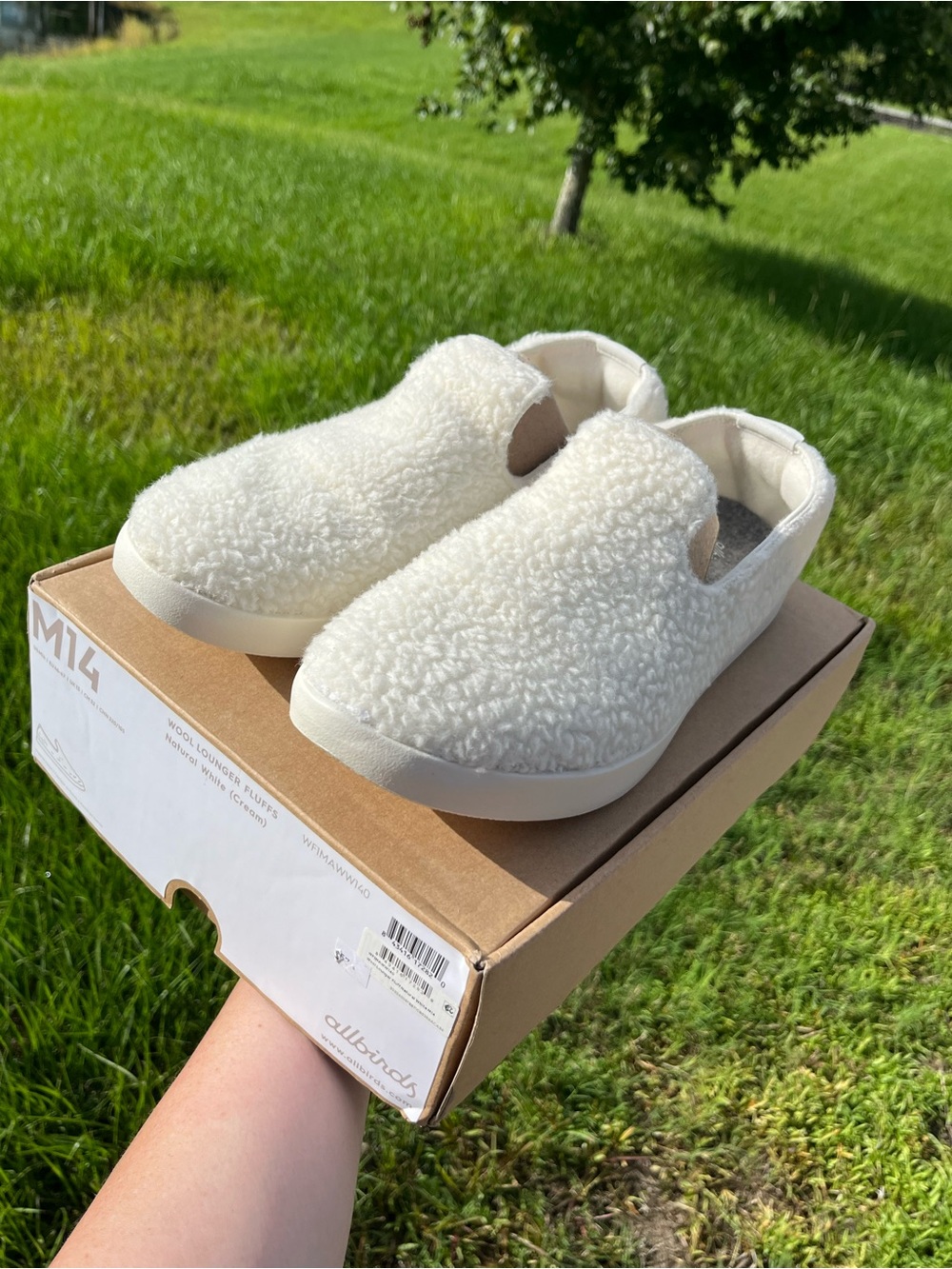 New in Box Allbirds Wool Lounger Fluffs in White Mens Size 14